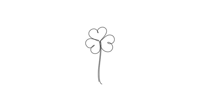 Continuous Line Drawing Four Leaf Clover Animation ,Lucky Shamrock One Line Art Vector Illustration