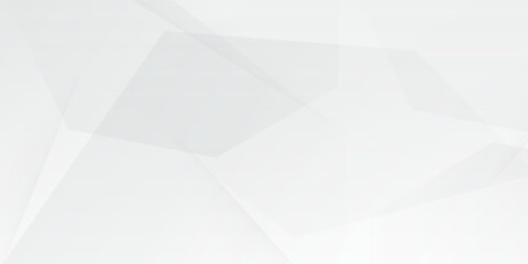 Obraz premium Abstract white and gray geometric background with subtle polygonal shapes and lines.