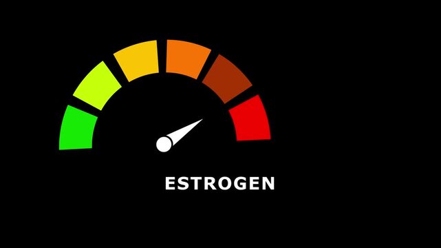 Gradient scale Estrogen level measuring device icon. Sign tachometer, speedometer, indicators.Risk management gauge with color-coded segments and needle. 4k video
