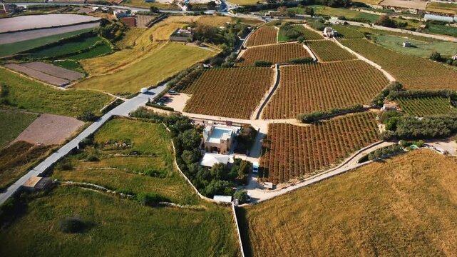 Malta. Vineyard Estate Nestled On Rolling Hills With Water Channels And Rustic Stone Cottage