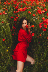 Naklejka premium Sensual brunette woman with a gentle sideways glance and open mouth posing genuinely in a vibrant poppy field, wearing an authentic local red wrap dress with boots, cinematic lifestyle portrait