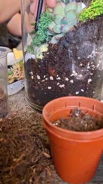 Placing Reindeer Moss in Terrarium, Vertical Video