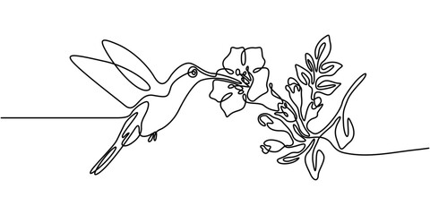 Minimalist continuous one line art of a hummingbird hovering while drinking nectar from a blooming trumpet flower © Topon