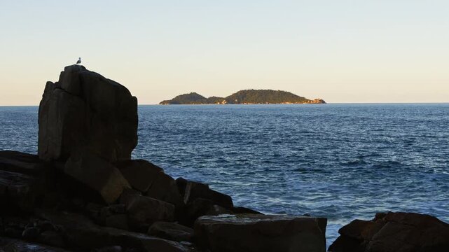 View of the blue sea with a rock formation in the foreground, a seagull on top, and an island in the background. Campeche island.