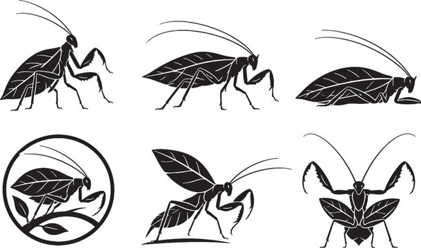 Mantis Katydid Silhouette Icon Set Collection Black Vector Wildlife Insect Symbols