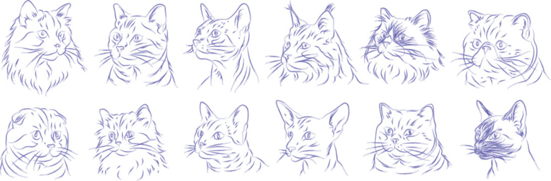 Cat portrait set in blue pen sketch style