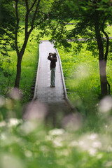 Fototapeta premium Boardwalk forest person binocular nature wetland tree meadow wildlife observation Person using binocular wooden boardwalk through lush green forest wetland, surrounded by tree, meadow grass