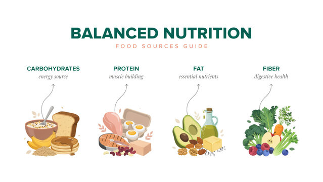 Balanced nutrition food pyramid with colorful healthy meals