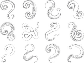 Collection of hand-drawn octopus tentacles with suction cups © Rifat