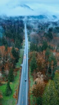 Following few cars going by the road in the evergreen forest. White mist spreading over the beautiful Mount Rainer National Park, Washington State, the USA. Top view. Vertical video