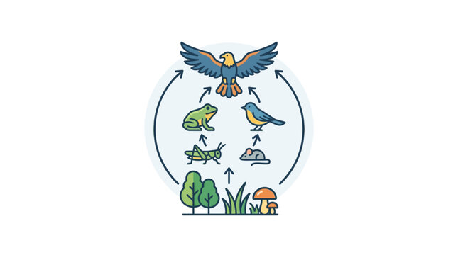 Food Chain Ecosystem Diagram: Plants, Insects, Amphibians, Birds, Rodents, Eagle