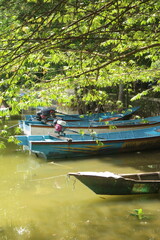 Fototapeta premium Several traditional wooden boats equipped with outboard longtail engines are moored along a quiet riverbank under lush green foliage.