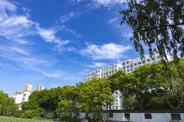 Modern residential buildings above green trees under blue sky © LuuDieuThanh