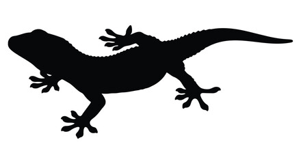 Obraz premium Lizard Silhouette On White Background Minimalist Reptile Shape