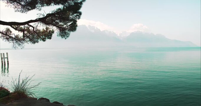 Lake Geneva Framed by Pine Trees and Alpine Mountains Switzerland - Scenic view across Lake Geneva framed by pine branches with distant mountains rising above the water. Peaceful landscape captured.