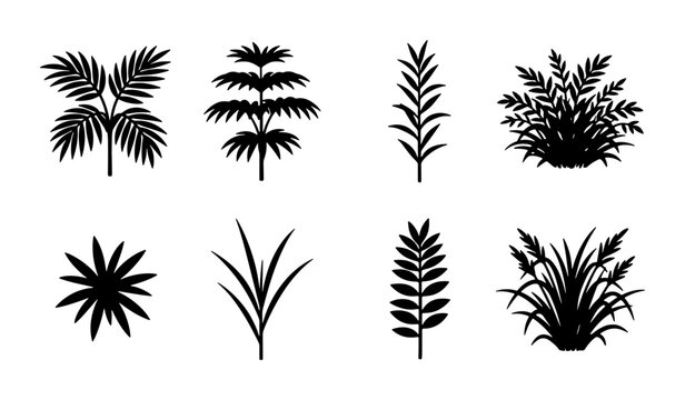 Black Silhouette Plant Icons, Tropical Foliage & Grass Vector Set, Garden Design Elements, Nature Graphics