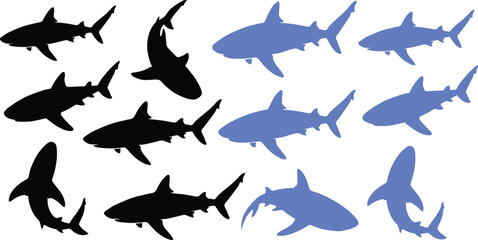 Naklejka premium Shark Silhouette Collection with Multiple Swimming Pose Vector Set