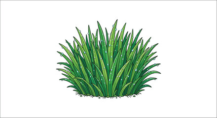 Fototapeta premium Grass clump with water droplets vibrant vector illustration on a white background
