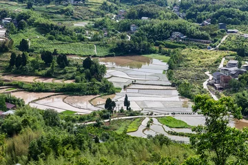 Fototapeten Reisfelder Terraced Rice Fields in a Green Rural Landscape  © TranAnhDao