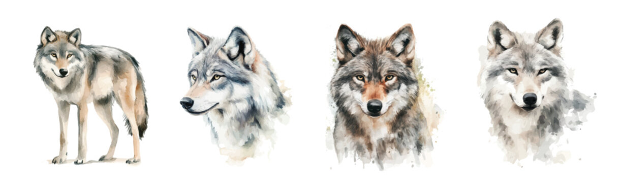 A Collection of hand-painted hand painted wolf painting designs, Hand-painted style, vectorized, vector set available in EPS, Plant set, vector set available in EPS, Illustrator Artwork