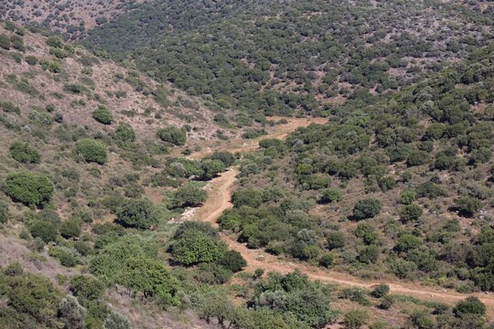 view of the Galilee mountains