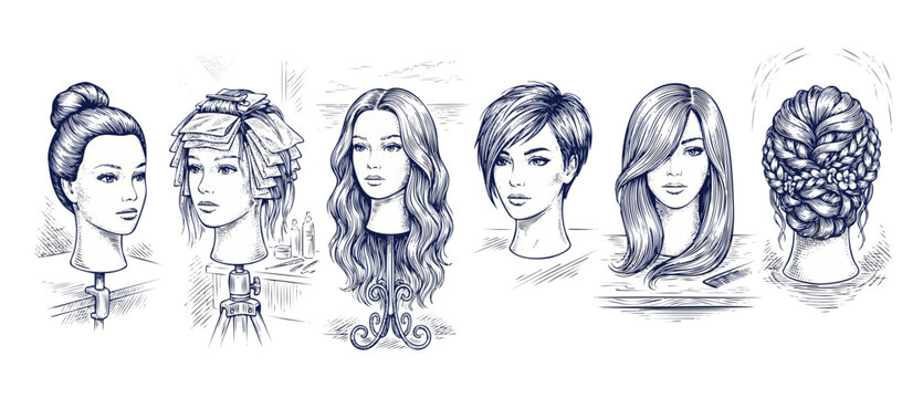 Mannequin heads hair styling set displaying diverse haircuts, coloring foils, waves, pixie cut, and braided updo in a vintage sketch illustration style for salon training and cosmetology education.