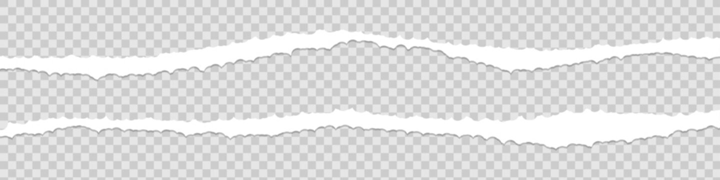Double white paper torn sheet strips isolated on with abstract, template