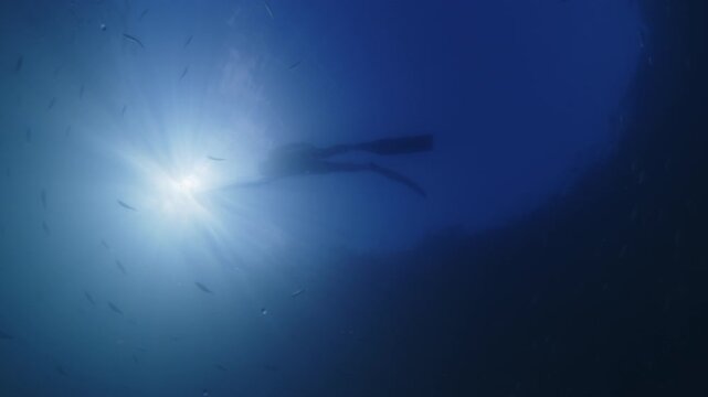 Underwater view of the hunter swimming slowly in the sea with a speargun with school of tiny bait fish swimming around