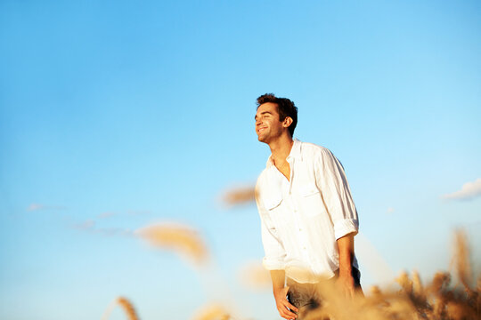Thinking, smile and man at wheat field on holiday with peace, calm and space for sightseeing. Reflection, happiness and person in countryside for view, travel and vacation adventure for agro tourism
