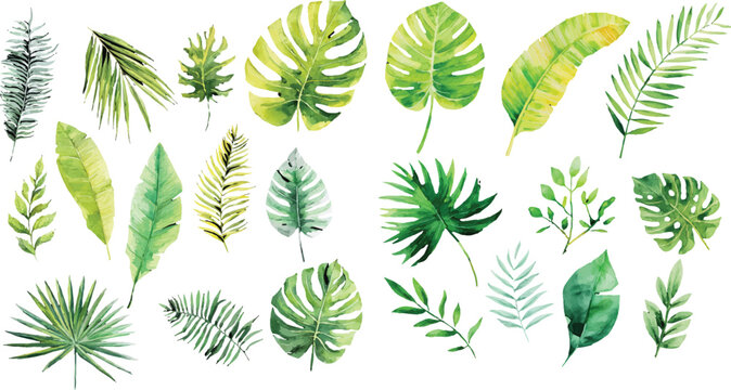 vector set of green leaves