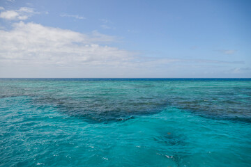 Obraz premium Great Barrier Reef, Coral Sea, off the coast of Port Douglas, Queensland, Australia.