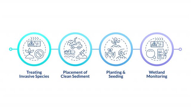 Phases of ecological restoration infographic circles animation. Environmental sustainability and nature preservation. Flowchart dynamic presentation with 4 steps process. HD video, motion graphics