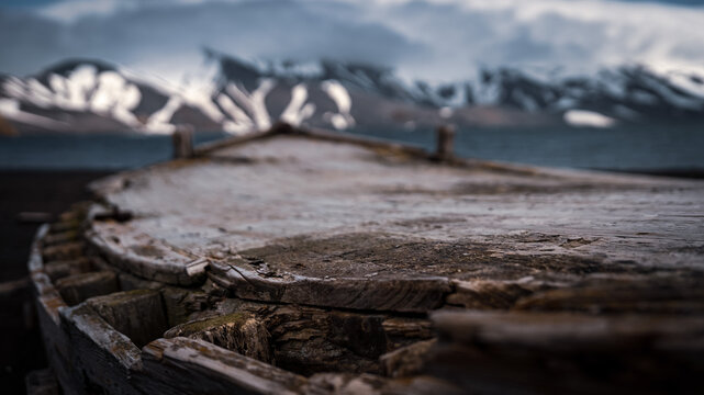 Decayed Wooden Whaling Boat Hull on Antarctic Black Beach with Snow Mountains