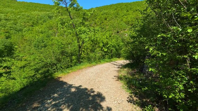 Sunlight filters through trees on a gravel trail. Gradac River, Serbia