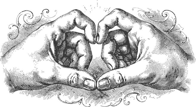 Hands forming heart shape vintage engraving detailed illustration on transparent background.
