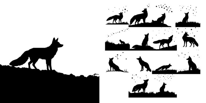 Fox Watching the Stars Silhouette