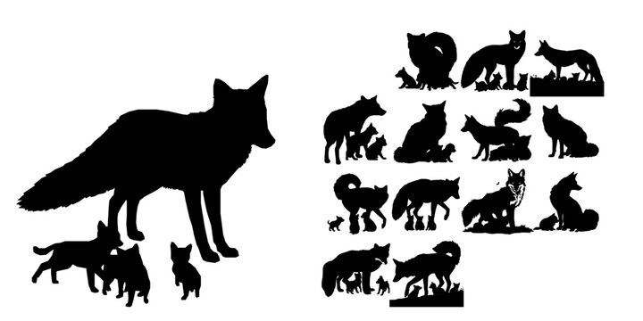 Fox With a Bushy Tail Curled Around Pups Silhouette