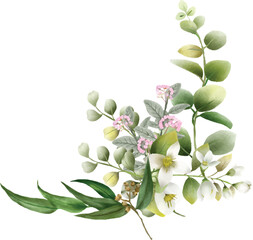 Watercolor eucalyptus branch and white jasmine flowers bouquet, botanical greenery arrangement isolated © Tan Creative Studio