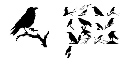 Obraz premium Crow Silhouetted Against the Moon Silhouette