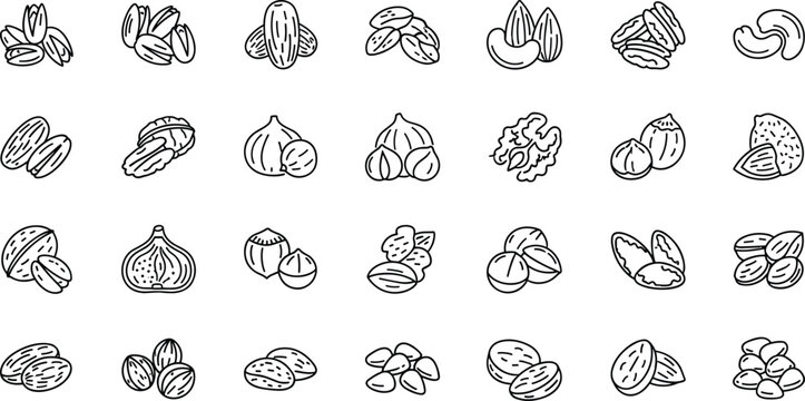 Nuts and seeds line icons set with almond walnut hazelnut cashew pistachio pecan macadamia peanut chestnut sunflower pumpkin seed organic food vector design