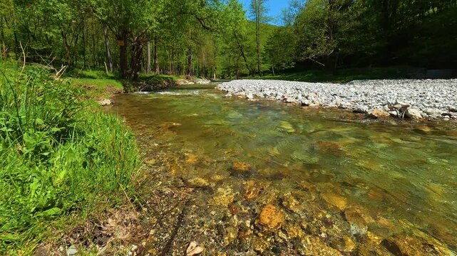 Clear water flows over smooth stones. Gradac River, Serbia