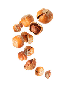 Crushed and whole hazelnuts close-up hovered in white space