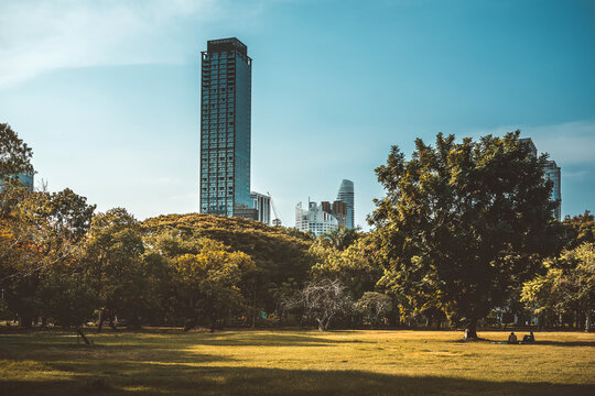 Wide green grass lawn and skyscrapers behind trees in city park under blue sky