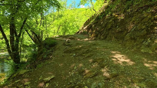 Dirt path winds through lush green forest. Gradac River, Serbia