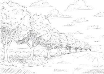 Obraz premium Of a tree-lined path leading through rolling hills under a cloudy sky