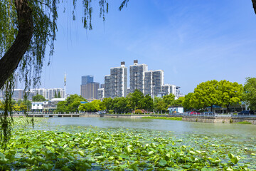 Modern city skyline by lotus lake in a green urban park © LamTri