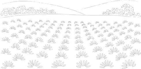 Stylized of a field of sparse vegetation with rolling hills and rocks © Milon