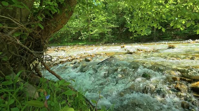 Rapid stream rushes through rocky bed. Slowmotion. Gradac River, Serbia