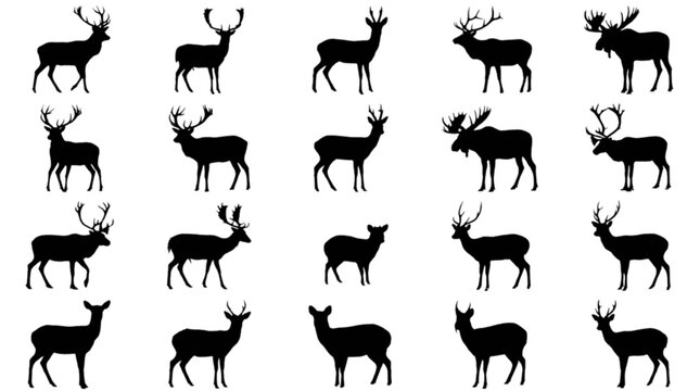 Black deer and moose silhouette animals illustration isolated on transparent background, Vector