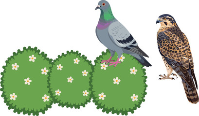 Fototapeta premium Detailed Bird Vector Set Featuring a Realistic Pigeon and Hawk Standing Near Green Flowering Bushes for Nature Designs, Wildlife Illustrations, and Outdoor Graphics
